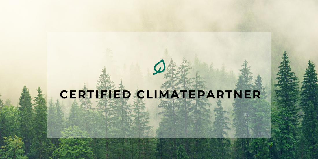 Security Meets Sustainability: Botslab's ClimatePartner Mileston