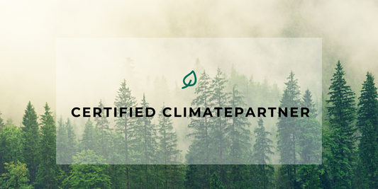 Security Meets Sustainability: Botslab's ClimatePartner Mileston